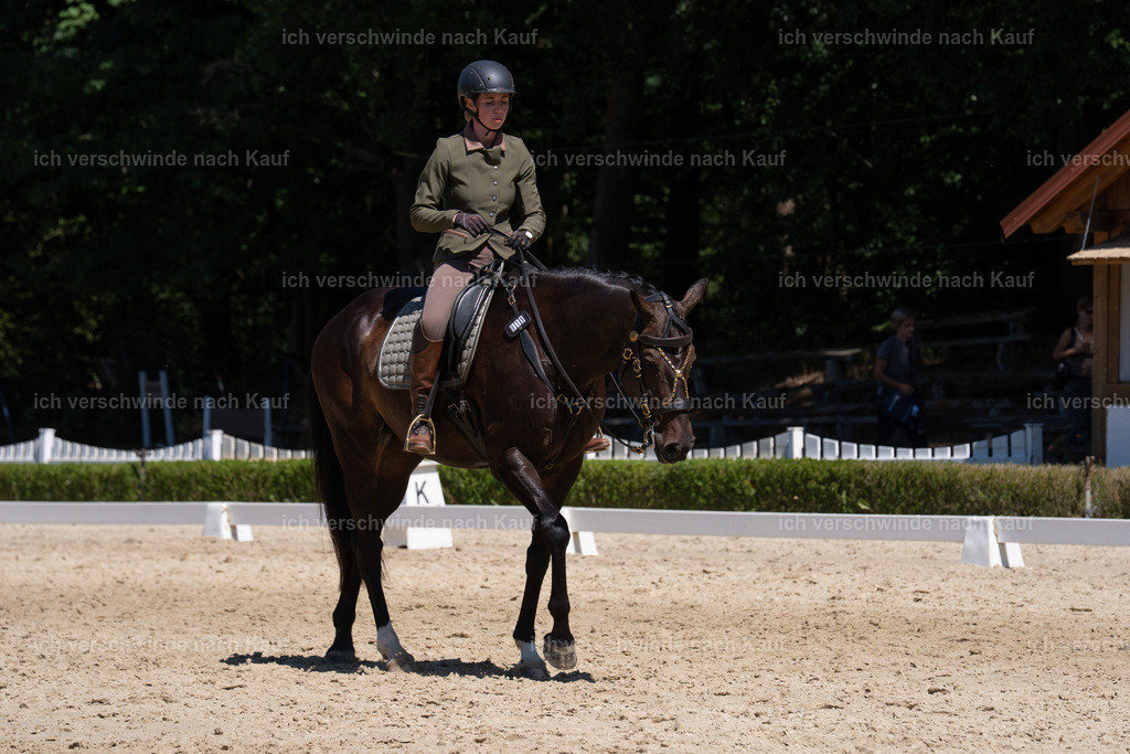 WS_DR_19_sinafilmart_IN03175 | working equitationturnier fotograf videograf stoibphotography marixx film working equitation deutschland reitsport turnierfotografie eventfotografie equestrian events
