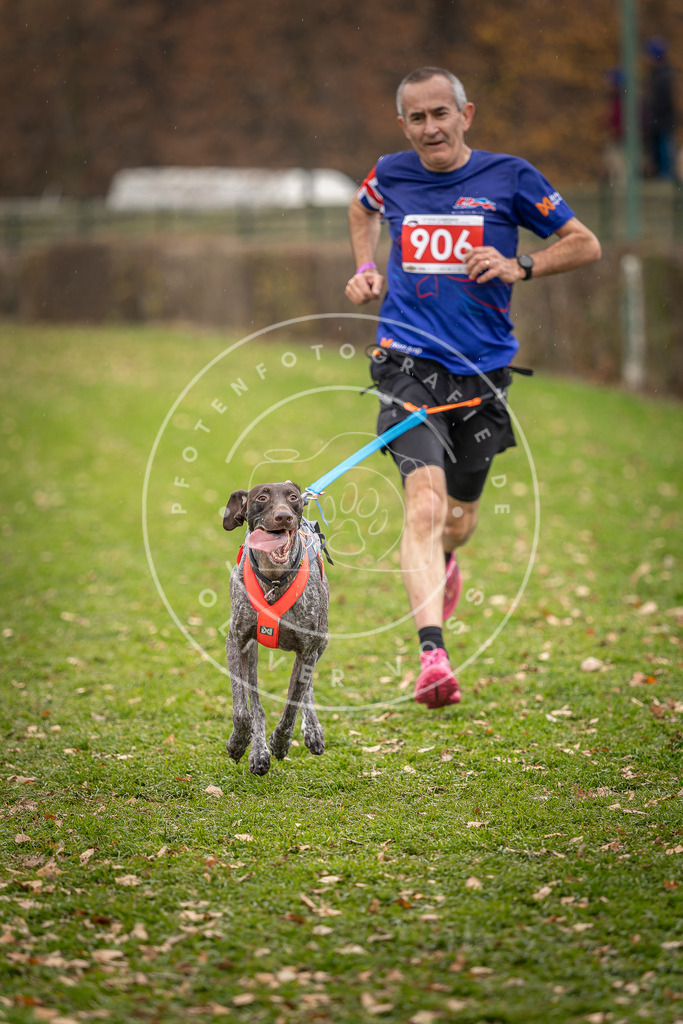 CaniXpix_DV3A7007 | Hundefotografie, Tierfotograf, Pfotenfotografie, Fotoshooting Hund, Hunde Portrait, Hundesport, Hundeportraits, Heideshooting, Hunde, Sportfotograf, Hundefotograf, Turnierhundsport, THS,  - Realisiert mit Pictrs.com