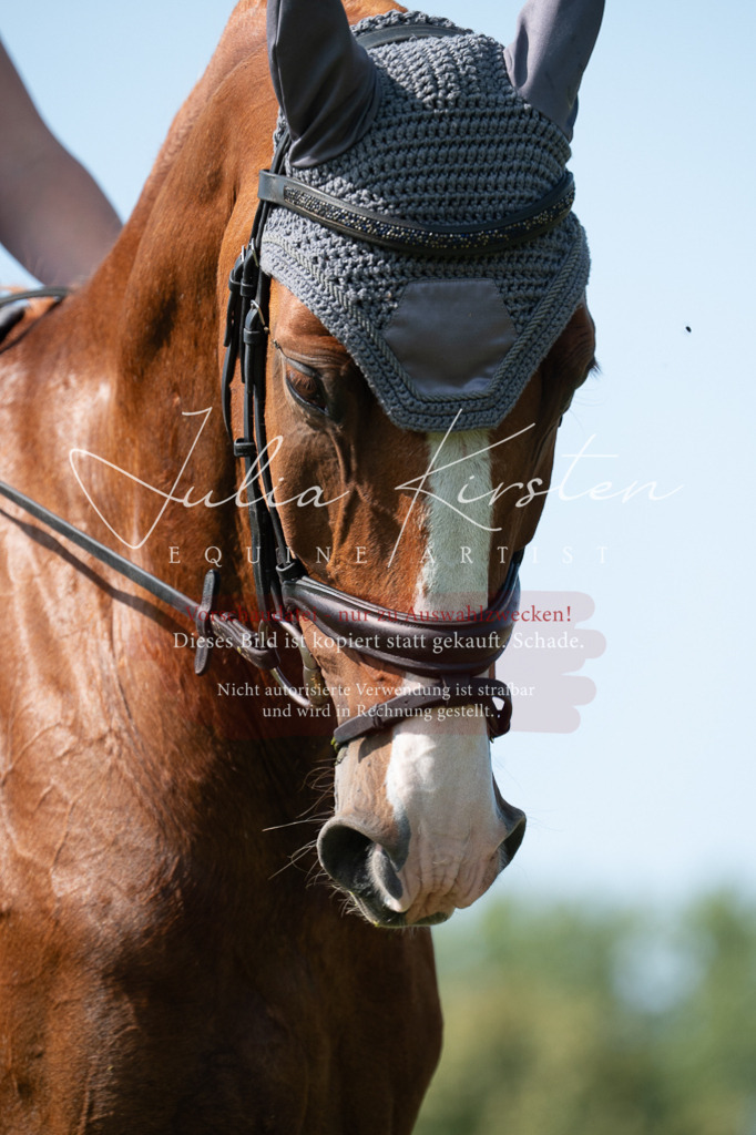 DSC_0908 | Pferde- und Turnierfotografie in Westsachsen. Pferdeportraits, Auftragszeichnungen und intuitive Kunst.