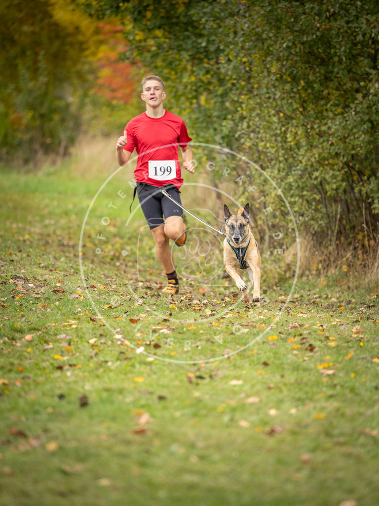 Pfotenfotografie_DV3A3806 | Hundefotografie, Tierfotograf, Pfotenfotografie, Fotoshooting Hund, Hunde Portrait, Hundesport, Hundeportraits, Heideshooting, Hunde, Sportfotograf, Hundefotograf, Turnierhundsport, THS,  - Realisiert mit Pictrs.com
