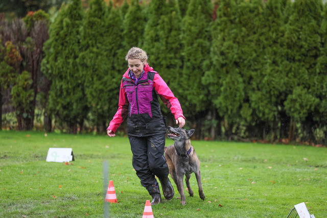 2025_Rally_Obedience_SM-263 | Ich fotografiere Hundeausstellungen, Sportanlässe, Zuchtstätten, Hundezucht, Hundeportrait, Lagotto - Realisiert mit Pictrs.com