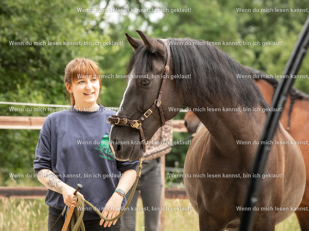 598A6853 | photographylinaismer - Realisiert mit Pictrs.com