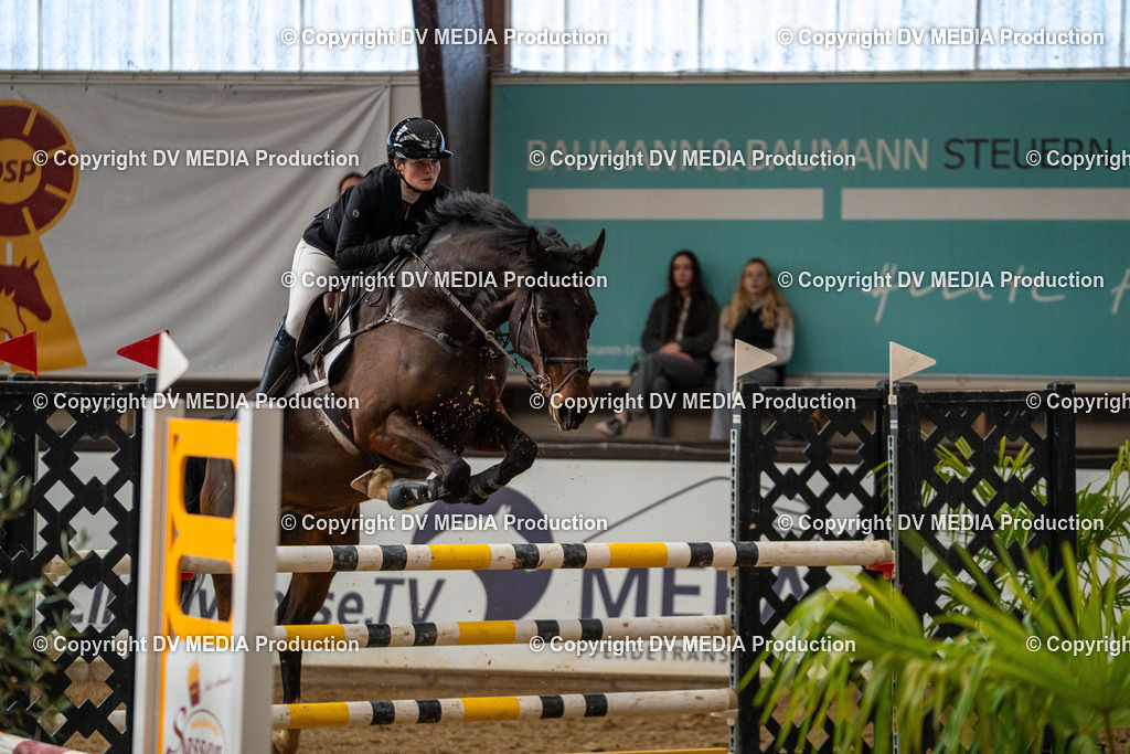 Kranichstein Tag 2-570 | dv-media-shop - Realisiert mit Pictrs.com