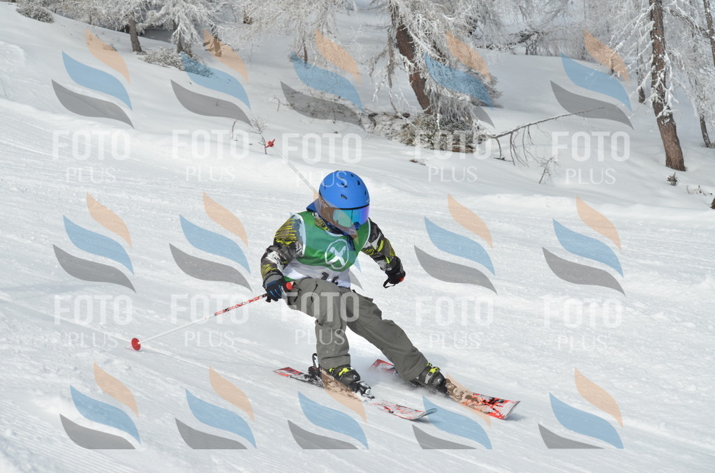 D8560 | holidayphoto