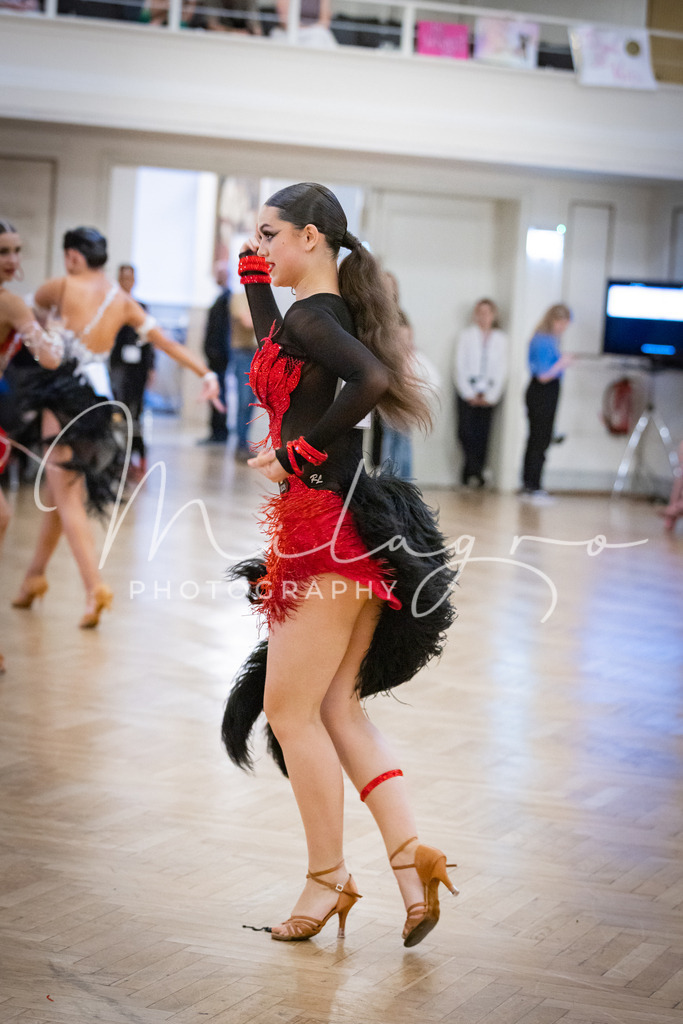 MainzPalaceOpen-1247 | milagro-photography