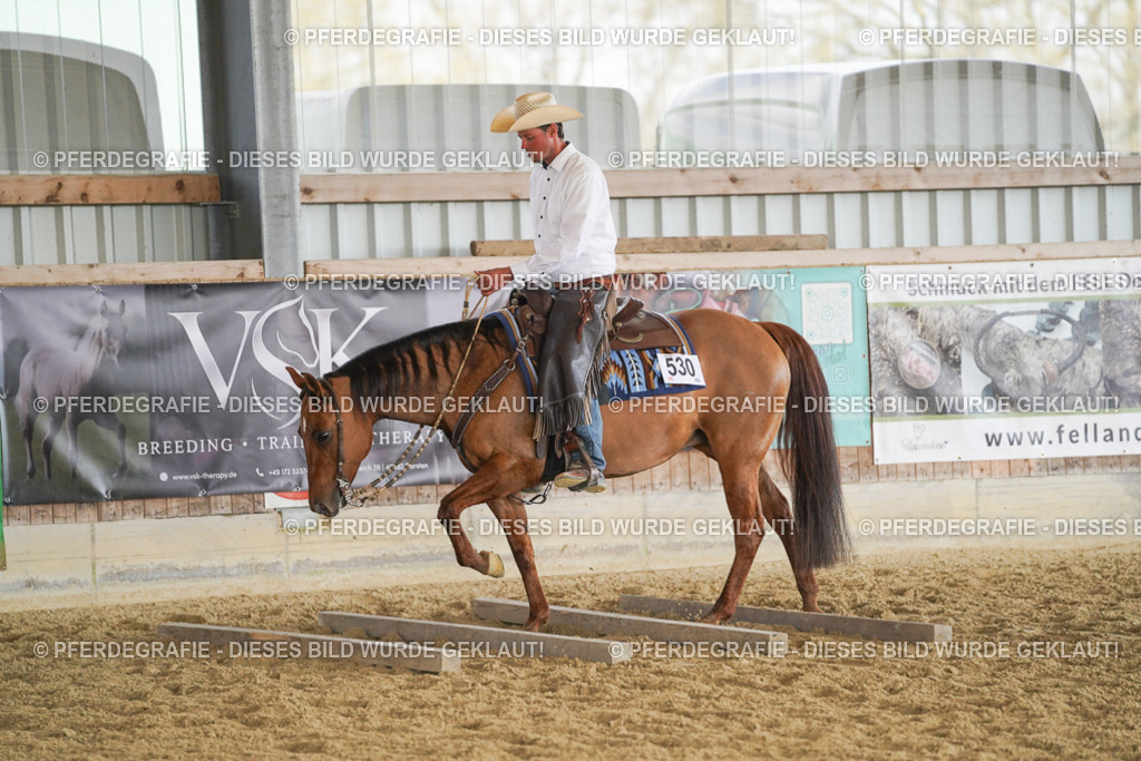 DSC00744 | Pferdegrafie