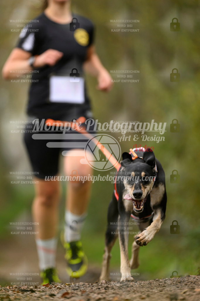 MompixPhotography_20TSB_E6_Run-108 | PayLife