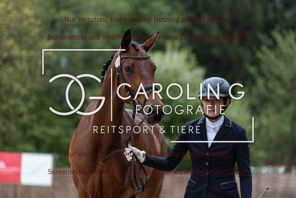 DSC_7089 | Turnierfotografin Carolin Gieschke,Reitsport Turnierfotografie Carolin G Fotografie | Turnierfotos aus Kirchheim/Teck, Esslingen, Stuttgart und dem Bodenseekreis