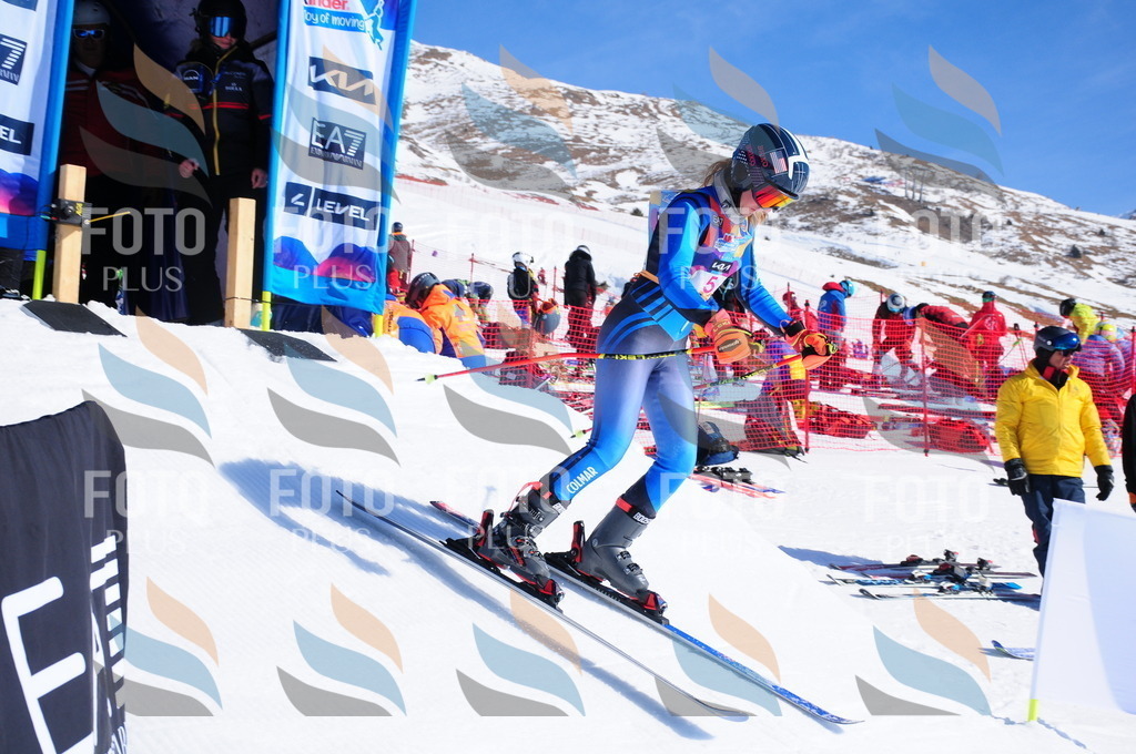 DSC_3645 | holidayphoto