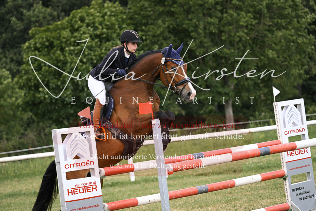 DSC_0902 | Pferde- und Turnierfotografie in Westsachsen. Pferdeportraits, Auftragszeichnungen und intuitive Kunst.