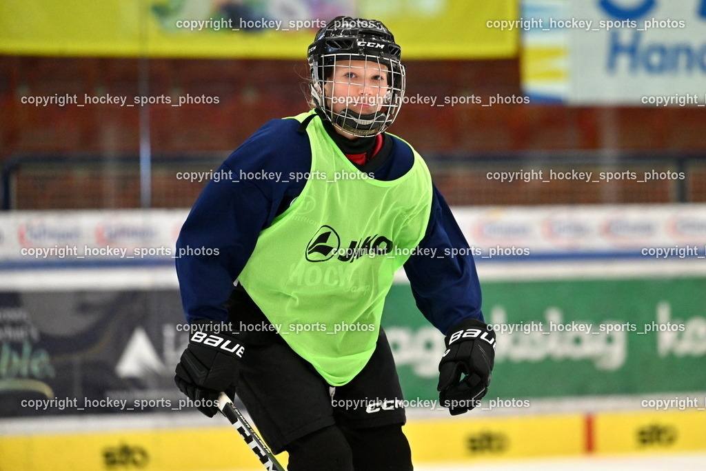 Z9B_3739 | hockey sports photos, Pressefotos, Sportfotos, hockey247, win 2day icehockeyleague, Handball Austria, Floorball Austria, ÖVV, Kärntner Eishockeyverband, KEHV, KFV, Kärntner Fussballverband, Österreichischer Volleyballverband, Alps Hockey League, ÖFB, 