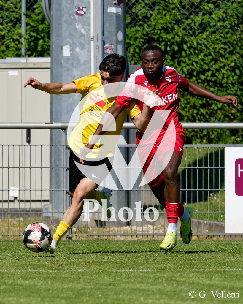 DSC_8347 | Velletri Photo