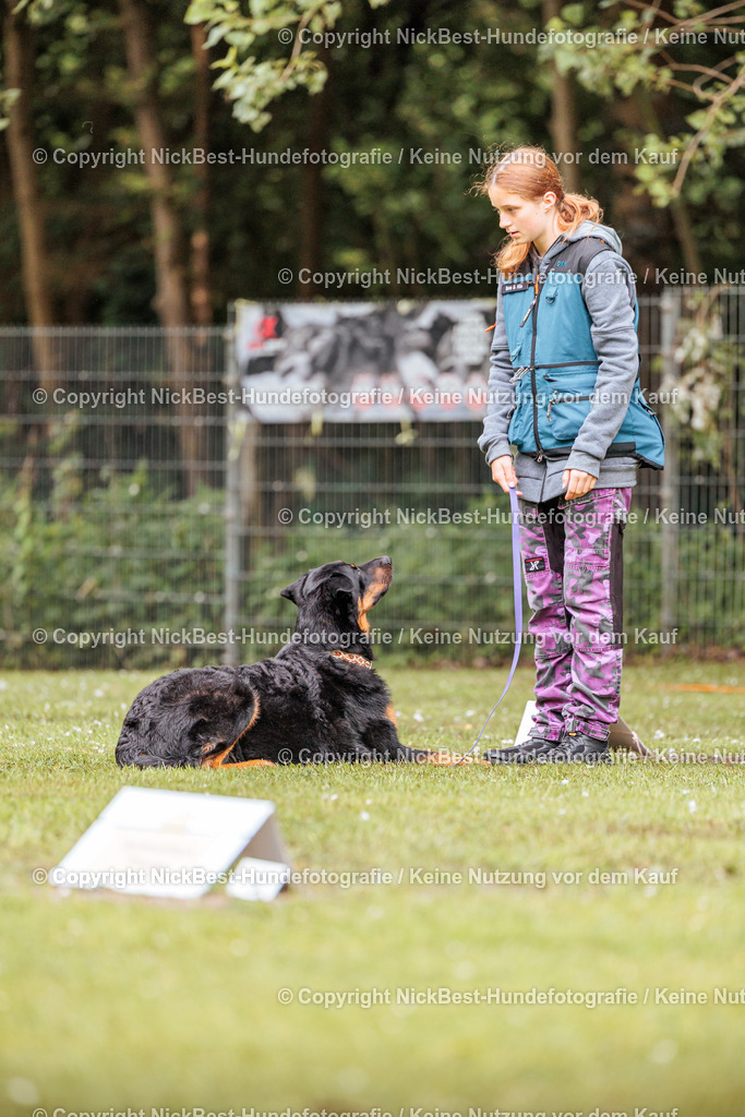 RO-Blumenthal-2026-Nickbest-Hundefotografie-1201 | Dein Hund! Dein Moment! Deine Erinnerungen! Hundefotografie in Bremen Blumenthal. Ich fange die besonderen Momente deines Vierbeiners ein – ob Indoor mit Blitzanlage oder in der freien Natur. Sicher dir dein Moment und dein Termin für eure Erinnerungen.
