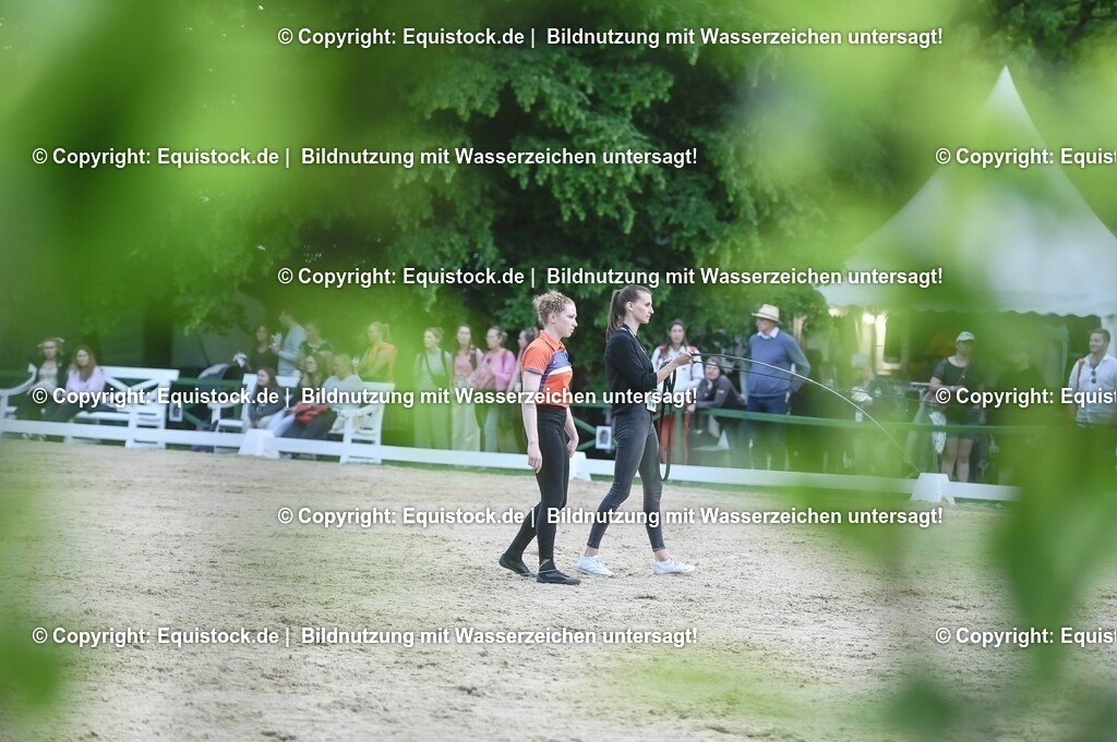 D78_3354 | equistock