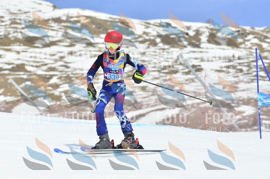 _ELE2527 | holidayphoto