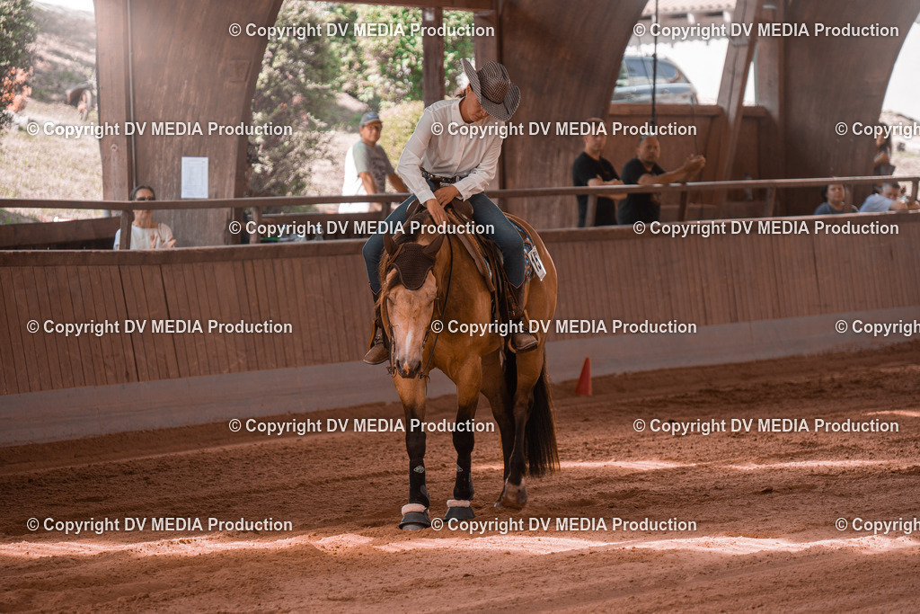 NE201002 | dv-media-shop - Realisiert mit Pictrs.com