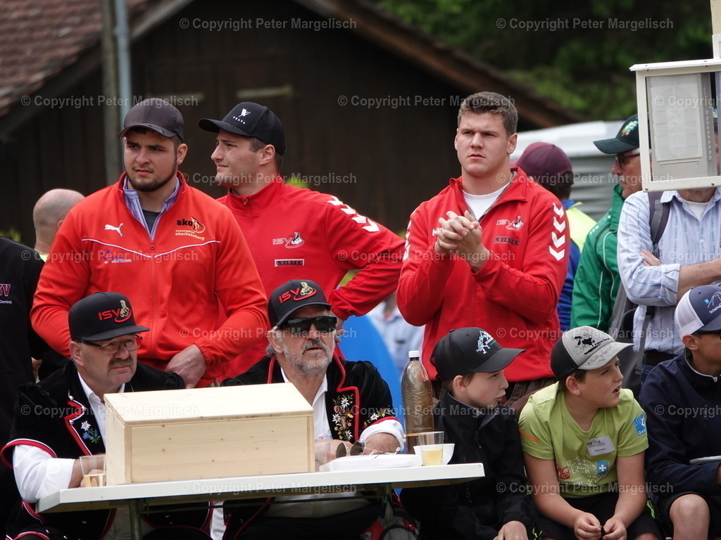 DSC07151 | Schwingen - Realisiert mit Pictrs.com