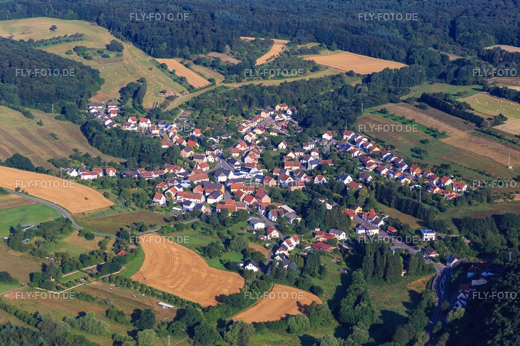 Dorfansicht aus Südosten | Luftbild: Dorfansicht aus Südosten in Frohnhofen im Bundesland Rheinland-Pfalz in Deutschland. Foto: IMG_091948.jpg vom 16.07.2016 durch Werner Riehm/FLY-FOTO.de - Realisiert mit Pictrs.com