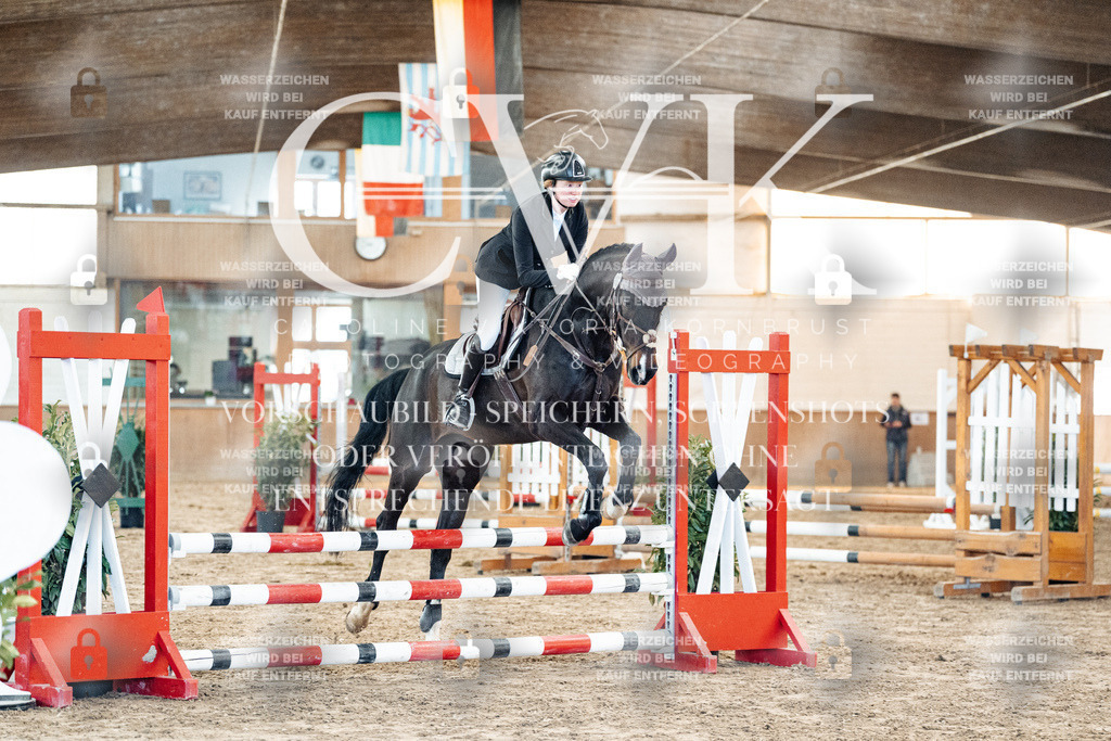 CK903889 | Turnierfotografie Pferdefotografie Trier Rheinland-Pfalz Pferdesport Reitsport Tierfotografie Sportfotografie Pferdevideo Pferdevideografie Equestrianvideography equestrianphotography  - Realisiert mit Pictrs.com