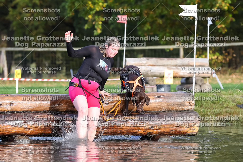 Dog Paparazzi - Strongdog 10-25-7049 | Dog Paparazzi Jeanette Grottendiek Fotografie & Videografie - Realisiert mit Pictrs.com