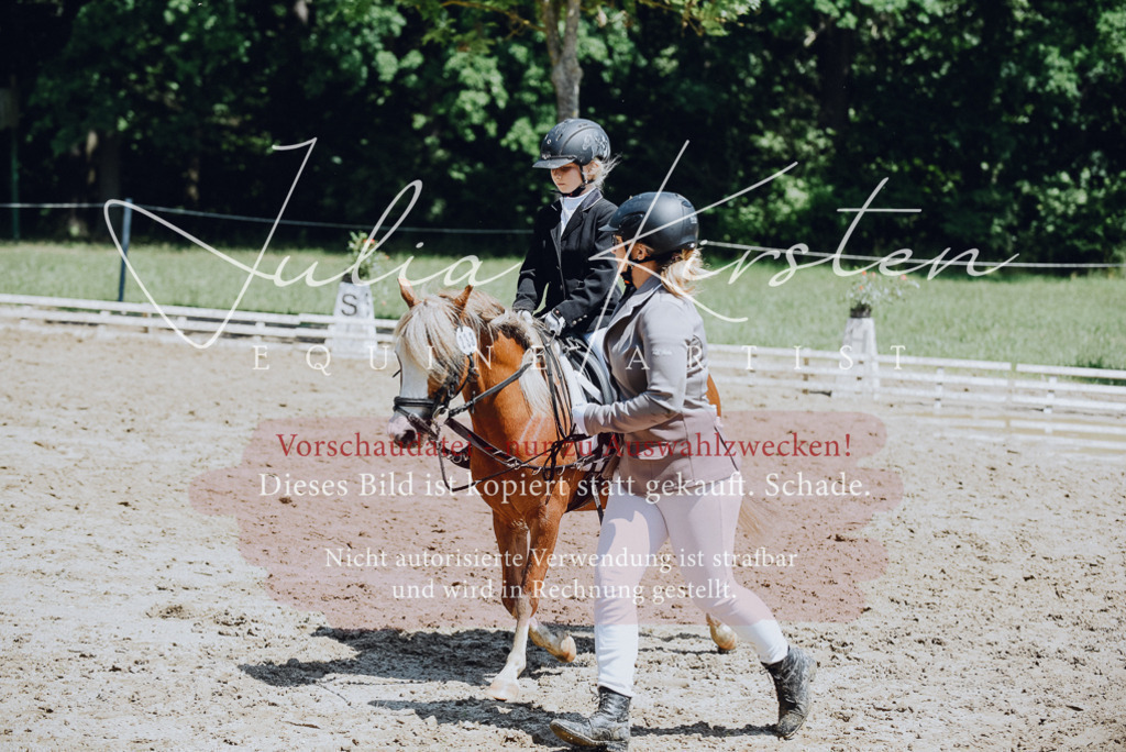 DSC_2160 | Pferde- und Turnierfotografie in Westsachsen. Pferdeportraits, Auftragszeichnungen und intuitive Kunst.