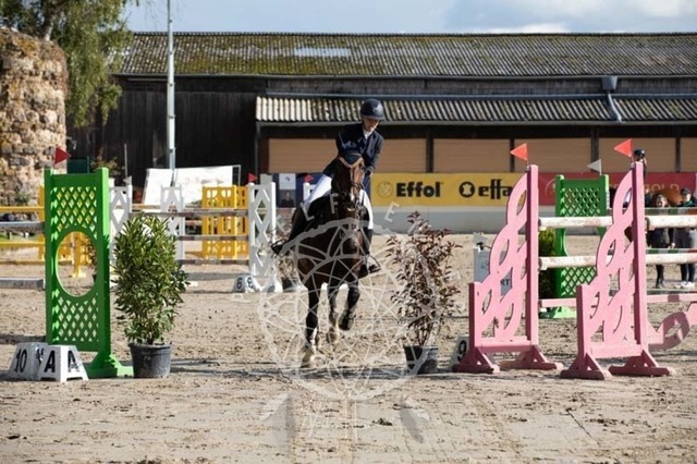 2B4A3727 | pixelfaenger - Realisiert mit Pictrs.com