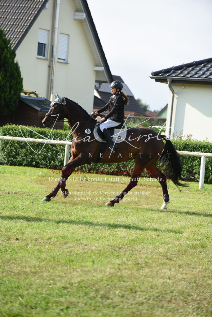 DSC_8660 | Pferde- und Turnierfotografie in Westsachsen. Pferdeportraits, Auftragszeichnungen und intuitive Kunst.