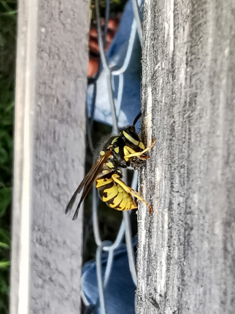 PSX_20230908_221120 | mtkfoto_ - Realisiert mit Pictrs.com