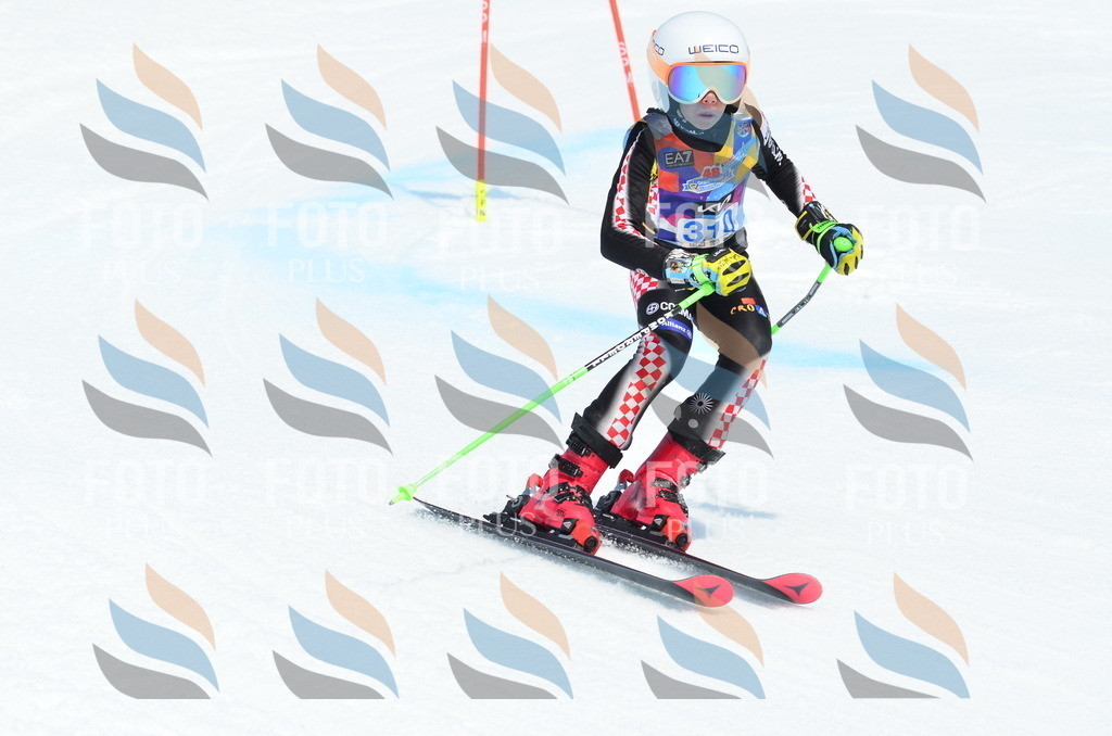 _ELE2324 | holidayphoto