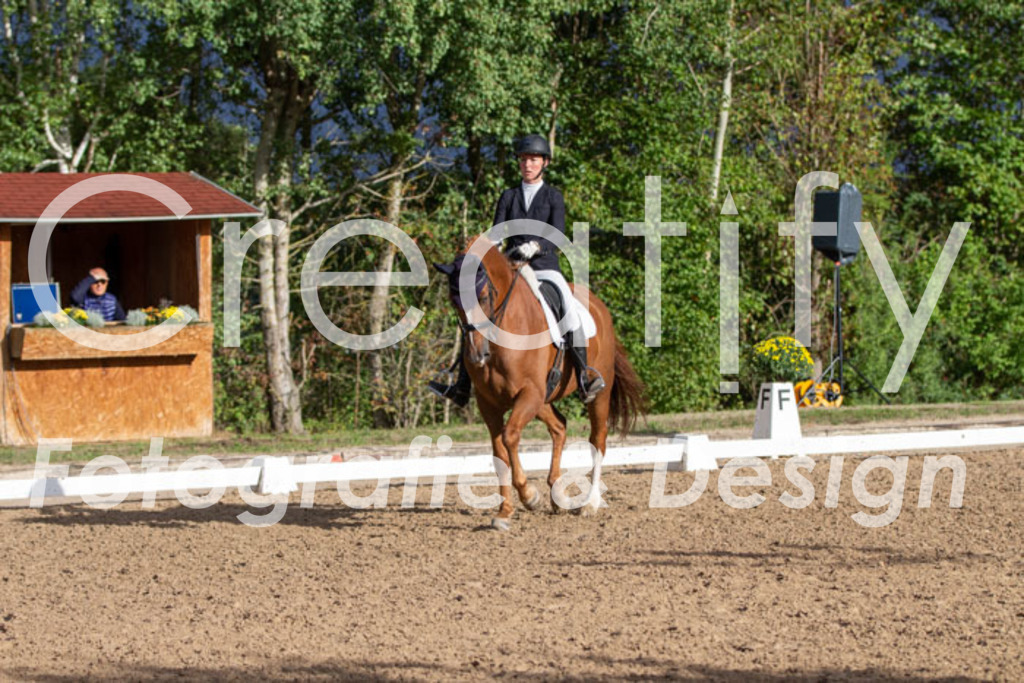 IMG_5927 | Creatify Fotografie