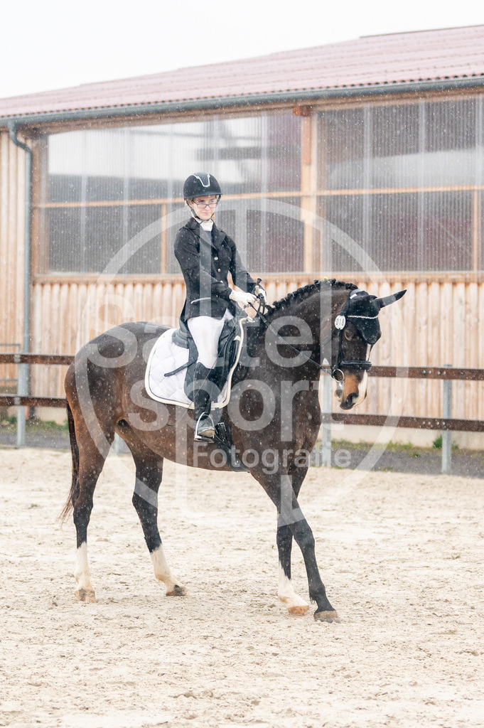 DSC_4532 | sattelsport - Realisiert mit Pictrs.com