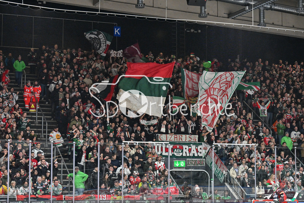 Augsburger Panther - Straubing Tigers | Die Fans der Panther feuern ihr Team an / Ultras / DEL: Augsburger Panther - Straubing Tigers, Curt Frenzel Stadion am 29.11.2024