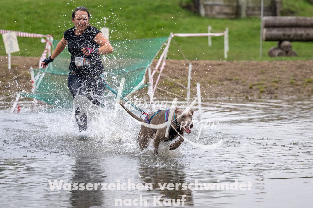 0824_ZZ91225 | kk-dogfotos
