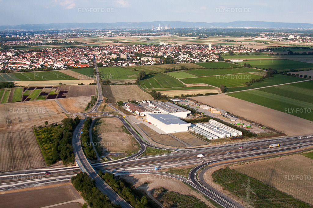 Luftbild: Gemüse Renner V+V in Mutterstadt im Bundesland Rheinland-Pfalz in Deutschland. Foto: IMG_69026.jpg vom 24.06.2014 durch Werner Riehm/FLY-FOTO.de