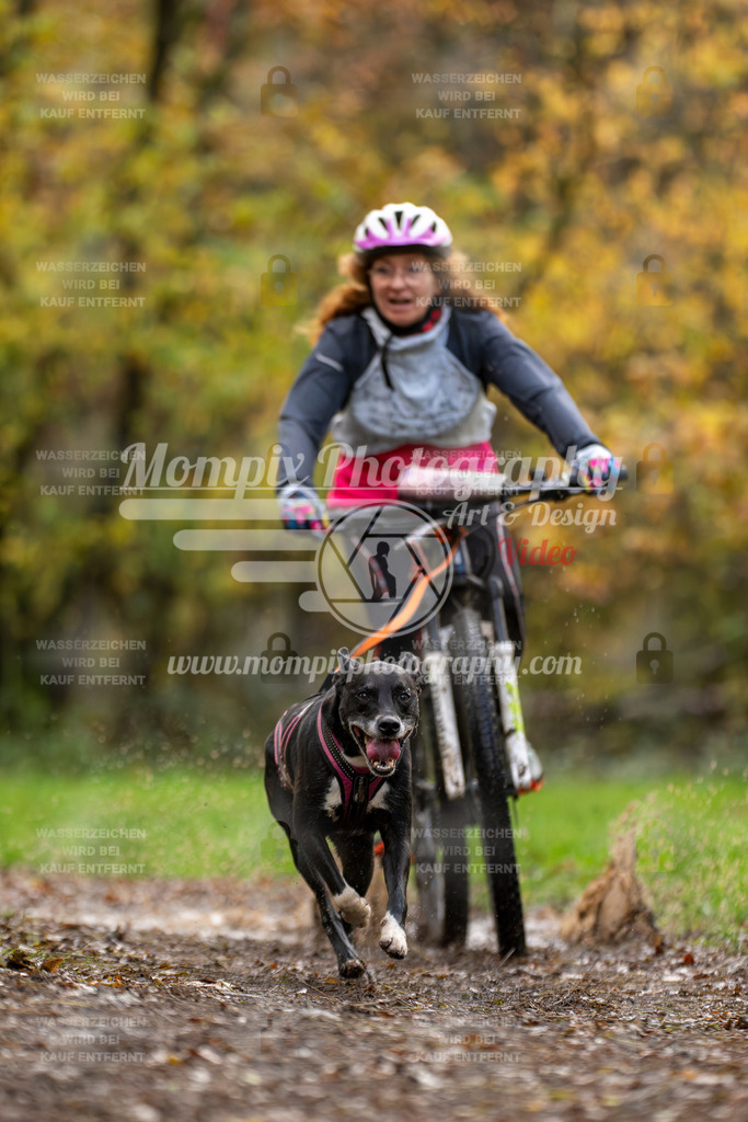 MompixPhotography_Bischwiller23_Bike-40 | PayLife