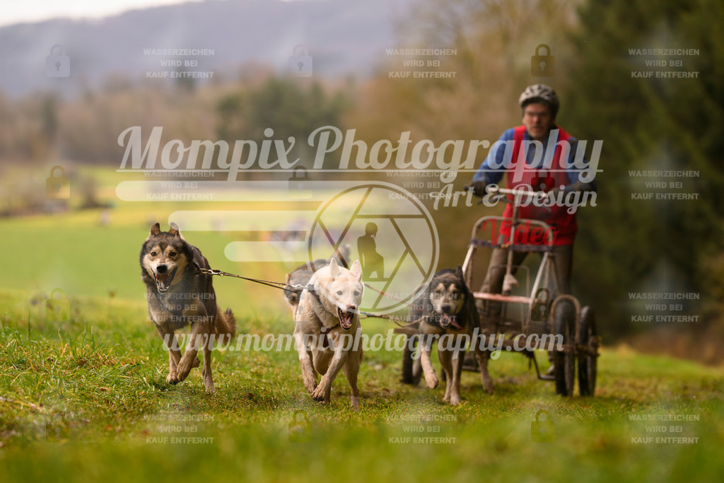 MompixPhotography_2SSTSSBW_2025_SO_Kart-25 | PayLife