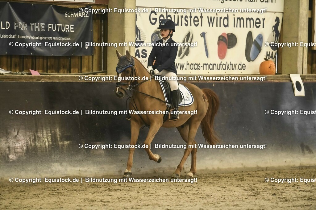 20231029_04_Dressur-WB_0070 | Foto: Thomas Hartig