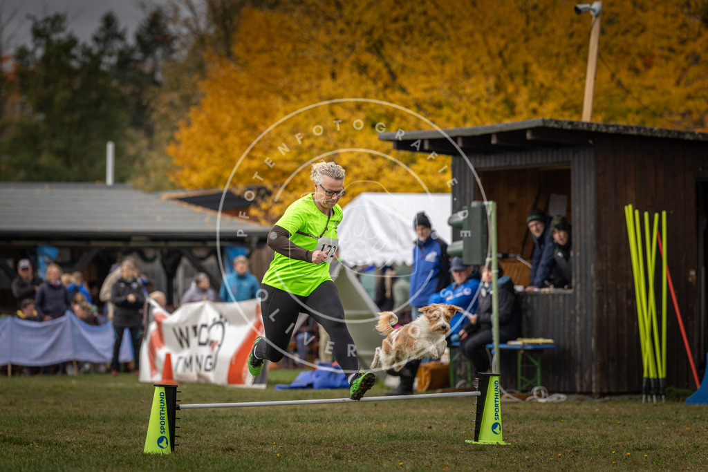 Pfotenfotografie_DV3A5560 | Hundefotografie, Tierfotograf, Pfotenfotografie, Fotoshooting Hund, Hunde Portrait, Hundesport, Hundeportraits, Heideshooting, Hunde, Sportfotograf, Hundefotograf, Turnierhundsport, THS,  - Realisiert mit Pictrs.com