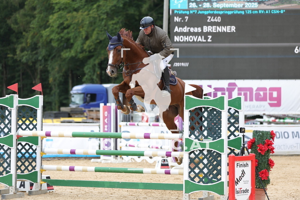 0P6A7824 | Willkommen bei Brunnmayr - Design & Fotografie – Ihrem Spezialisten für Reitturniere und Pferdeveranstaltungen in Oberösterreich, Salzburg und Bayern! Seit über 17 Jahren sind wir leidenschaftlich dabei.