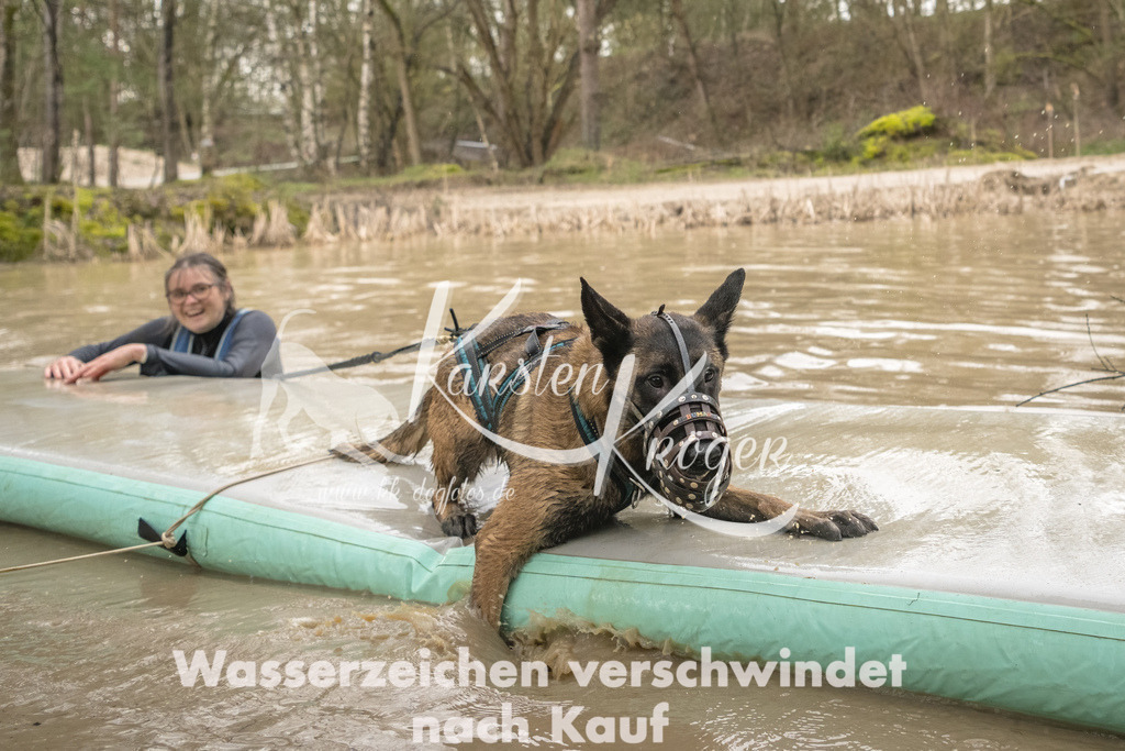 1336_ZZ90137-Bearbeitet | kk-dogfotos