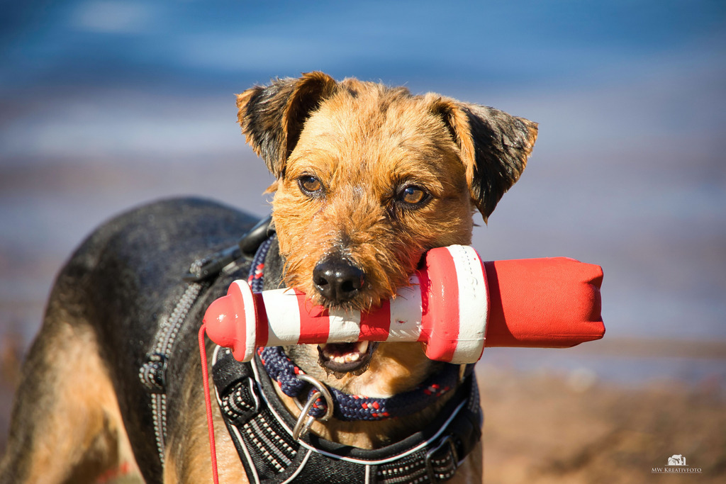 CK9A2270_1 | mw-kreativfoto - Realisiert mit Pictrs.com