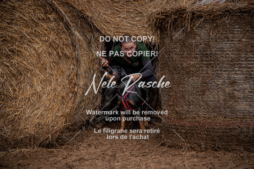 nelerasche_Hunsrück_So12-13_442 | nelerasche