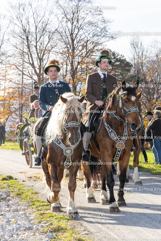 LBT24-1456 | foto-bettina-krinner - Realisiert mit Pictrs.com