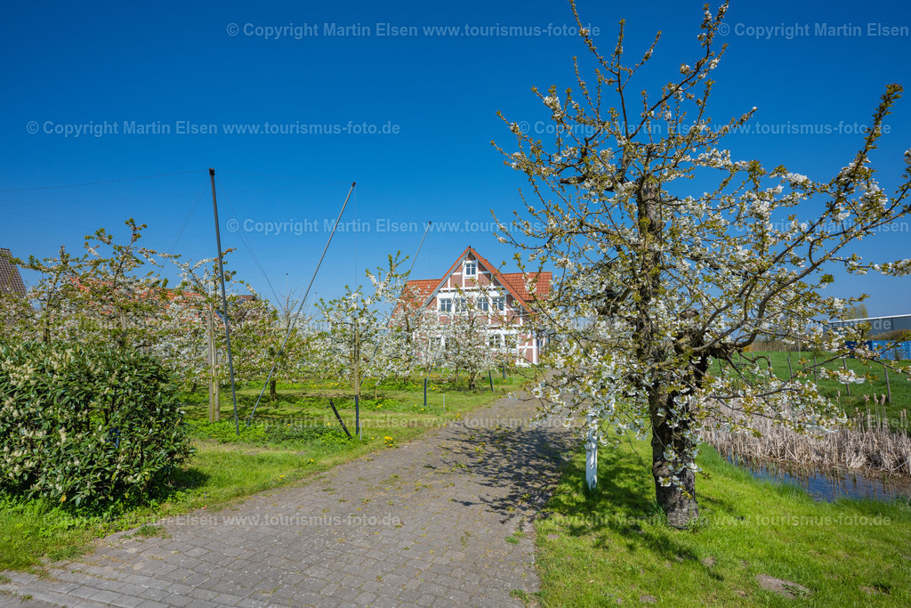 Altes Land Fachwerk Kirschblüte_ELS_9992230423 | Fotos aus den Touristenorten aus Norddeutschland. - Realisiert mit Pictrs.com