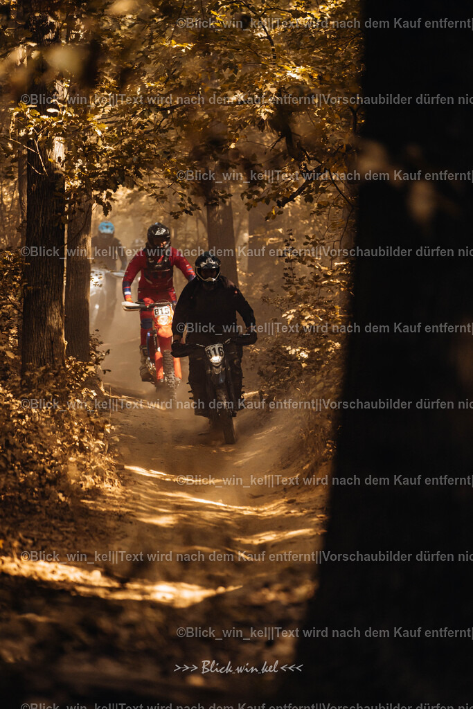 E68A7993 | blick_win_kel