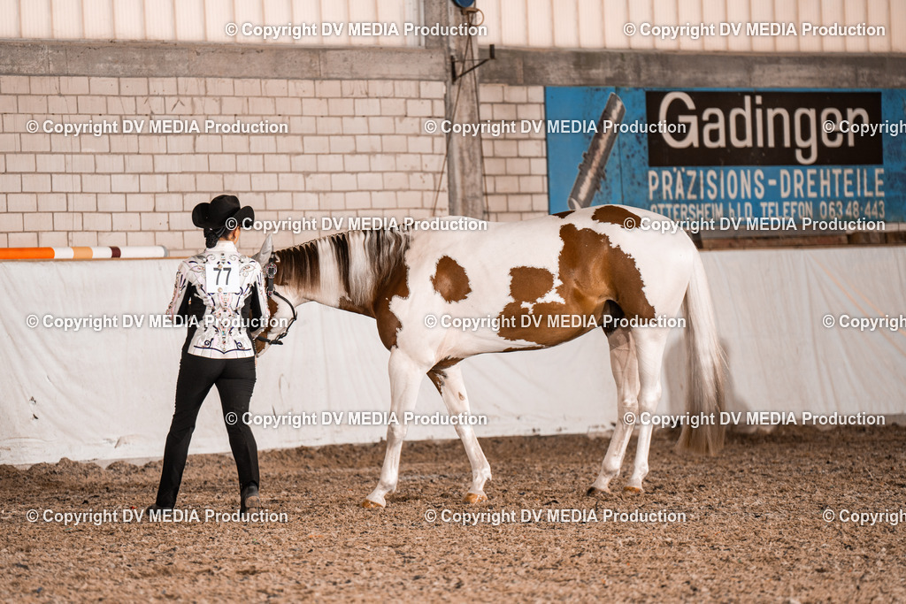 ZH200052 | dv-media-shop - Realisiert mit Pictrs.com