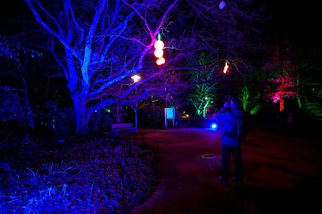 Parkleuchten_GrugaEssen24_49 | Bildergalerie von Sport-Ereignissen aber auch von weiteren spannenden Dingen - nicht nur vom Niederrhein. In Anlehnung an den bekannten Spruch von Hanns Dieter Hüsch heißt das Motto: "Niederrhein ist überall".  - Realisiert mit Pictrs.com