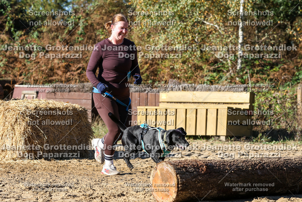 Dog Paparazzi - Strongdog 10-25-2068 | Dog Paparazzi Jeanette Grottendiek Fotografie & Videografie - Realisiert mit Pictrs.com