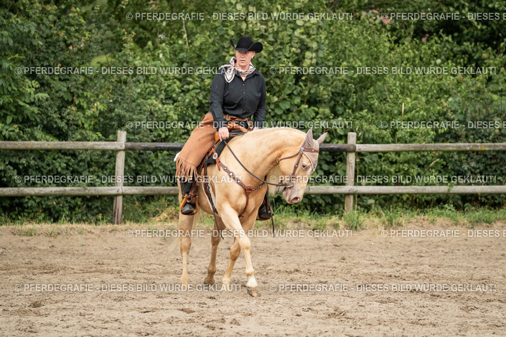 DSC03330 | Pferdegrafie