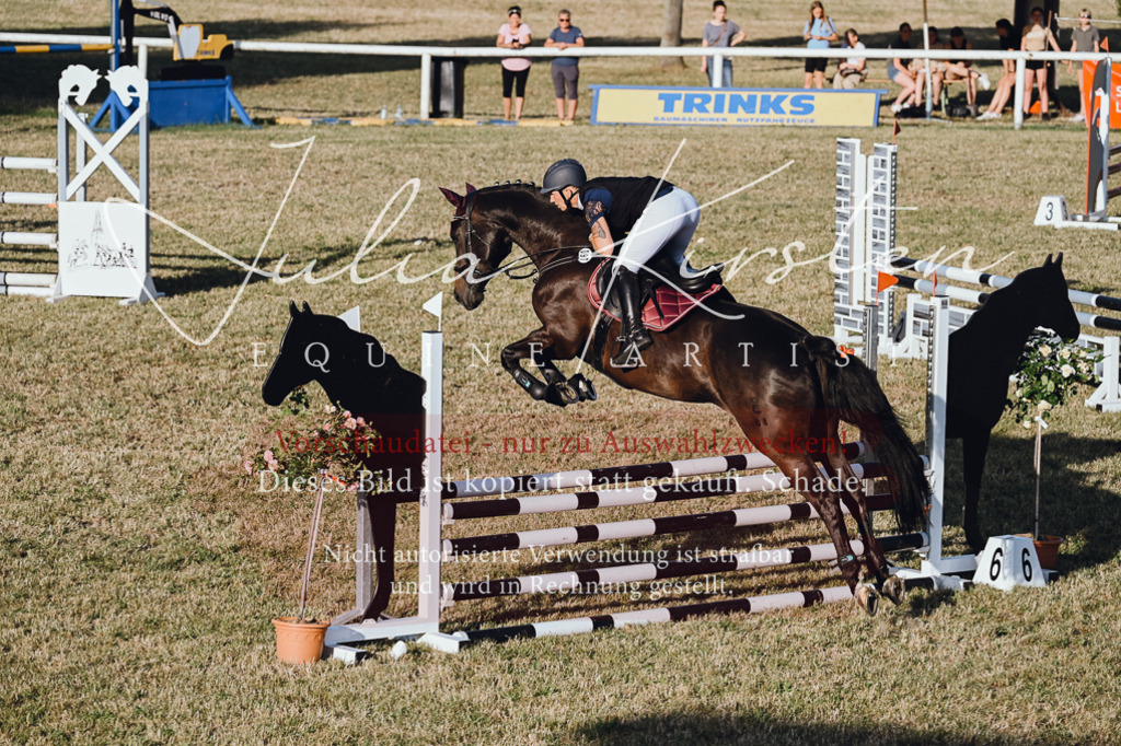 DSC_3249 | Pferde- und Turnierfotografie in Westsachsen. Pferdeportraits, Auftragszeichnungen und intuitive Kunst.